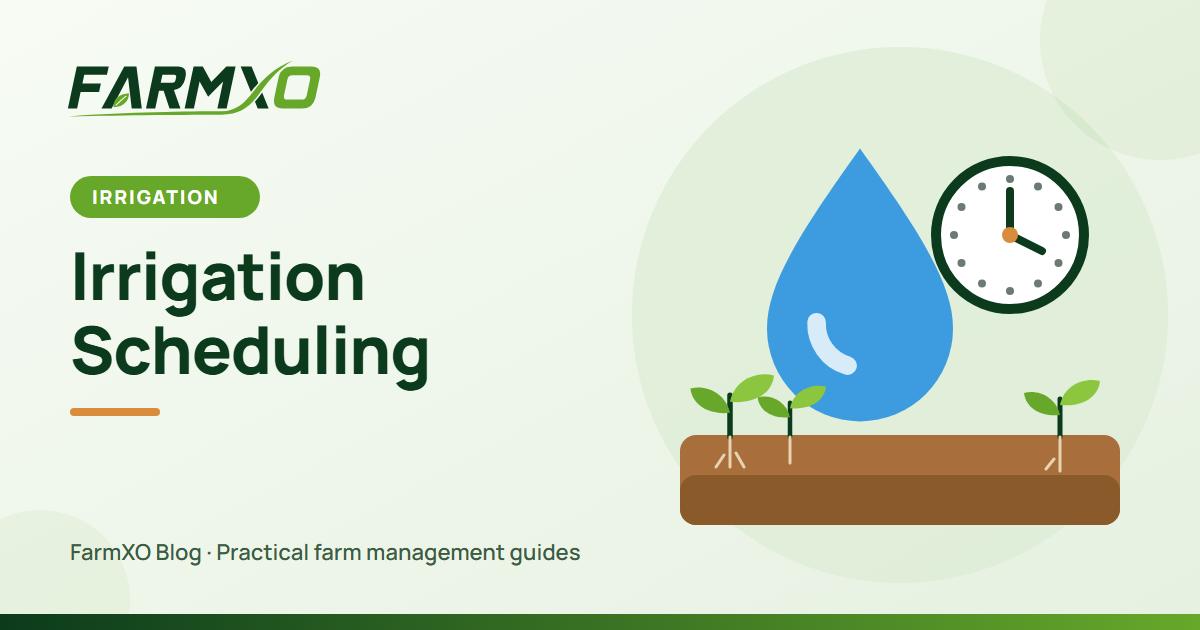 Irrigation Scheduling: How Much and When to Water Your Crops
